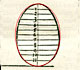 Alberto Durero y las elipses: las elipses tienen dos ejes de simetría.