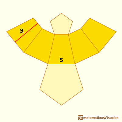 Pyramid and Pyramidal frustum: plane net of a truncated pyramid with its slant height | matematicasVisuales