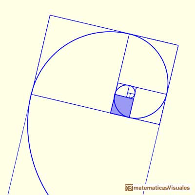 Golden Ratio: golden spiral, Drawing up an arc of circumference in each square we get a golden spiral | matematicasVisuales