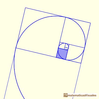 Rectngulo ureo, espiral de Durero y espiral equiangular dorada: golden spiral, Drawing up an arc of circumference in each square we get a golden spiral | matematicasVisuales