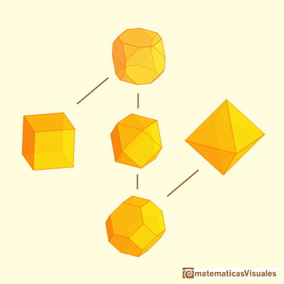 Truncated cube and octahedron: truncated cube, truncated octahedron and cuboctahedron | matematicasvisuales