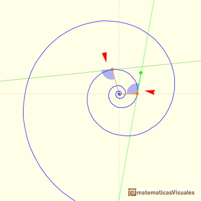 Espiral equiangular: Podemos ver que el ángulo formado por el radio vector y la tangente es constante | matematicasVisuales