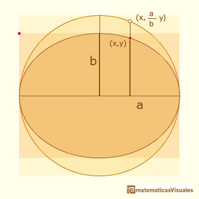Ellipse as a tranformed circle, a point on the ellipse | matematicasvisuales