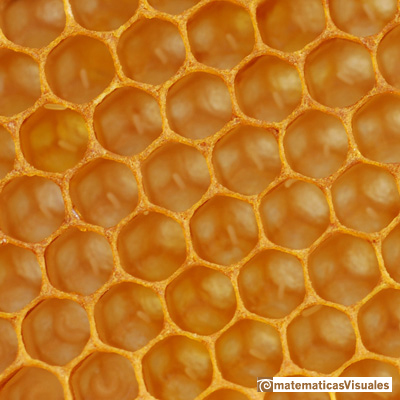 Panales de abeja y el dodecaedro rmbico: honeycomb, bee cells | matematicasVisuales