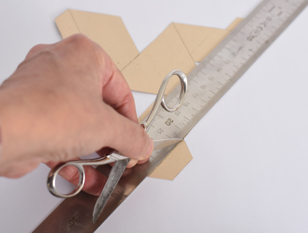 Rinus Roelofs | Construcci�n Stella Octangula | matematicasVisuales